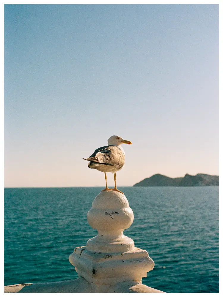Fotografía en película por Juano — 28